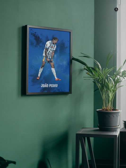 Bring the Amex to Your Walls: Brighton & Hove Albion Football Prints for True Fans